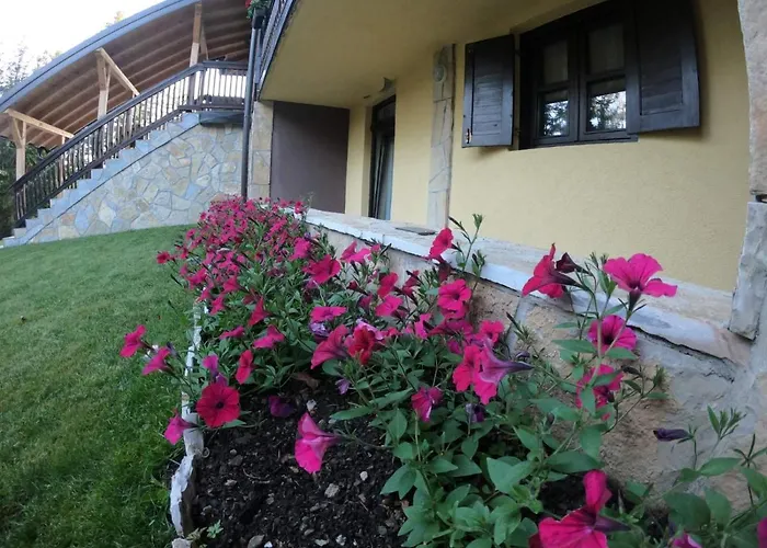 Gasthuis Jovanka Zlatibor